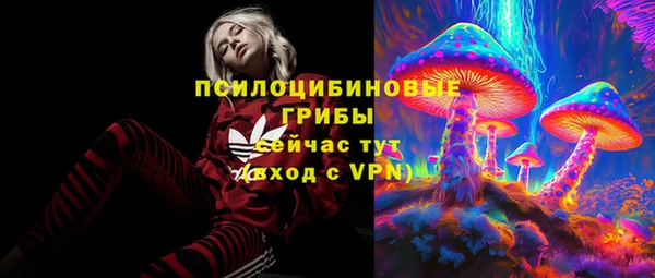 ПСИЛОЦИБИНОВЫЕ ГРИБЫ Нягань